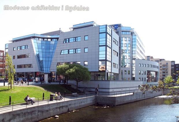 Lägenhet Komfortabel Pa Sagene